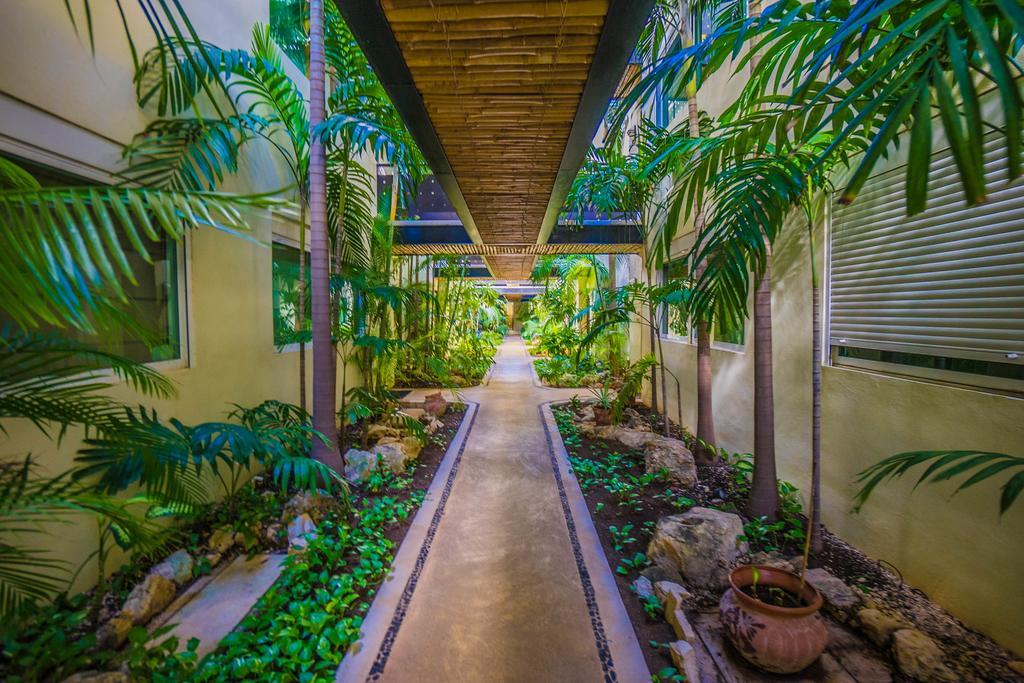 Meridian Downtown Apartments Playa del Carmen Extérieur photo